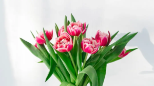 Bloom & Co